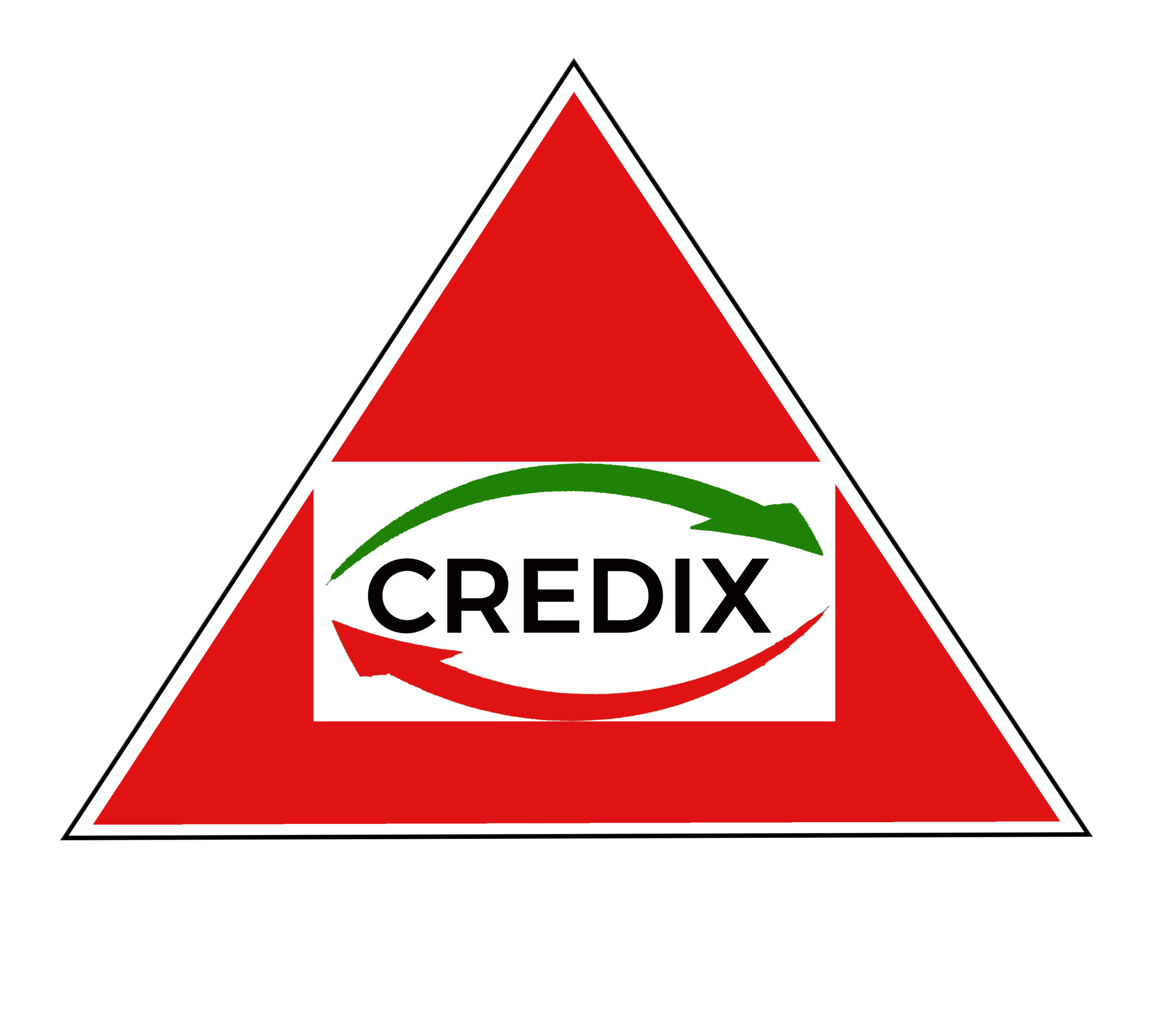 CREDIXCAM SA CREDIXCAM SA